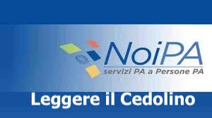 Cedolino stipendio Noi Pa